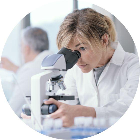 investigacion