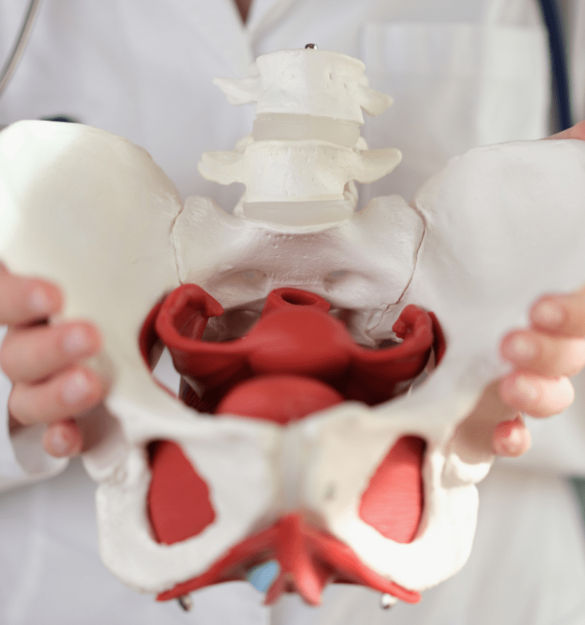 Colposacropexia-suelo-pelvico
