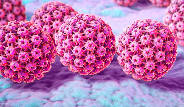 virus-papiloma-humano